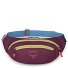 Daylite Waist belt bag 45 cm Variant moody burgundy Daylite Waist belt bag 45 cm Variant moody burgundy