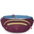  Daylite Waist belt bag 45 cm Variant moody burgundy