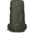  Kestrel 38 Hiking backpack L-XL 78 cm Variant bonsai green