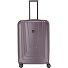  X-Ray 4 Roll Trolley 77 cm Variant taupe