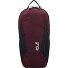 Velocity Lite Hiking backpack 41 cm Variant amaranth  Velocity Lite Hiking backpack 41 cm Variant amaranth