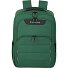  Skaii Daypack M 43 cm Laptop compartment Variant green