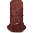  Aether 65 Trekking backpack S-M 80 cm Variant acorn red