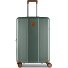  Ferrara 4 wheels Trolley M 67 cm Expandable Variant green