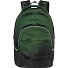  Milo School backpack 43 cm Variant grass