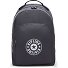  Center Curtis Daypack 43 cm Laptop compartment Variant moonlit grey c