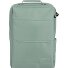  Workfloow Daypack 41 cm Laptop compartment Variant salbei