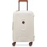  Moncey 4 Roll Cabin Trolley 55 cm Variant angora