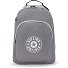 Center Curtis Daypack 43 cm Laptop compartment Variant inviting grey c  Center Curtis Daypack 43 cm Laptop compartment Variant inviting grey c