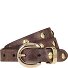  Studded belt Genuine Leather Variant dark brown | 85 cm