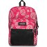  Pinnacle Daypack 42 cm Variant brize pink beige
