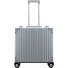  Deluxe 4 Roll Business Trolley 45 cm Variant platinum