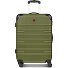  Amplar Evo 4 wheels Trolley M 65 cm Expandable Variant olive