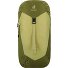 AC Lite 24 Hiking backpack 56 cm Variant linden-cactus AC Lite 24 Hiking backpack 56 cm Variant linden-cactus