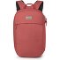 Arcane Daypack 45 cm Laptop compartment Variant red pampas