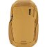  Chasm Daypack 49.5 cm Laptop compartment Variant golden