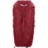  Alp Mate 30L Backpack 60 cm Variant syrah