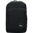  Terraview Daypack 47 cm Laptop compartment Variant black