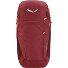  Alp Trainer 20L Backpack 55 cm Variant syrah