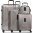  Essentials 14 4-wheel suitcase set + beauty case 4 pcs. with stretch fold Variant coffee grey metallic
