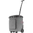  Carrycruiser Plus Shopping Trolley 52.5 cm Variant frame twist silver