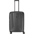  X-Ray 4 Roll Trolley 72 cm Variant anthrazit