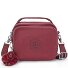  Basic Cahir Handbag 18.5 cm Variant lounge wine