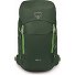  Jet 28 Hiking backpack 55 cm Variant green canopy-limeline green