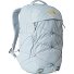  Borealis Daypack 47.5 cm Laptop compartment Variant frost grey-gold metalli